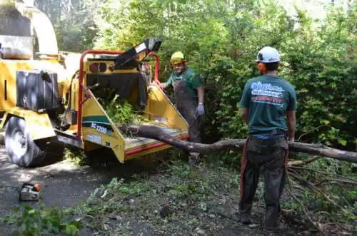 tree services South Bend